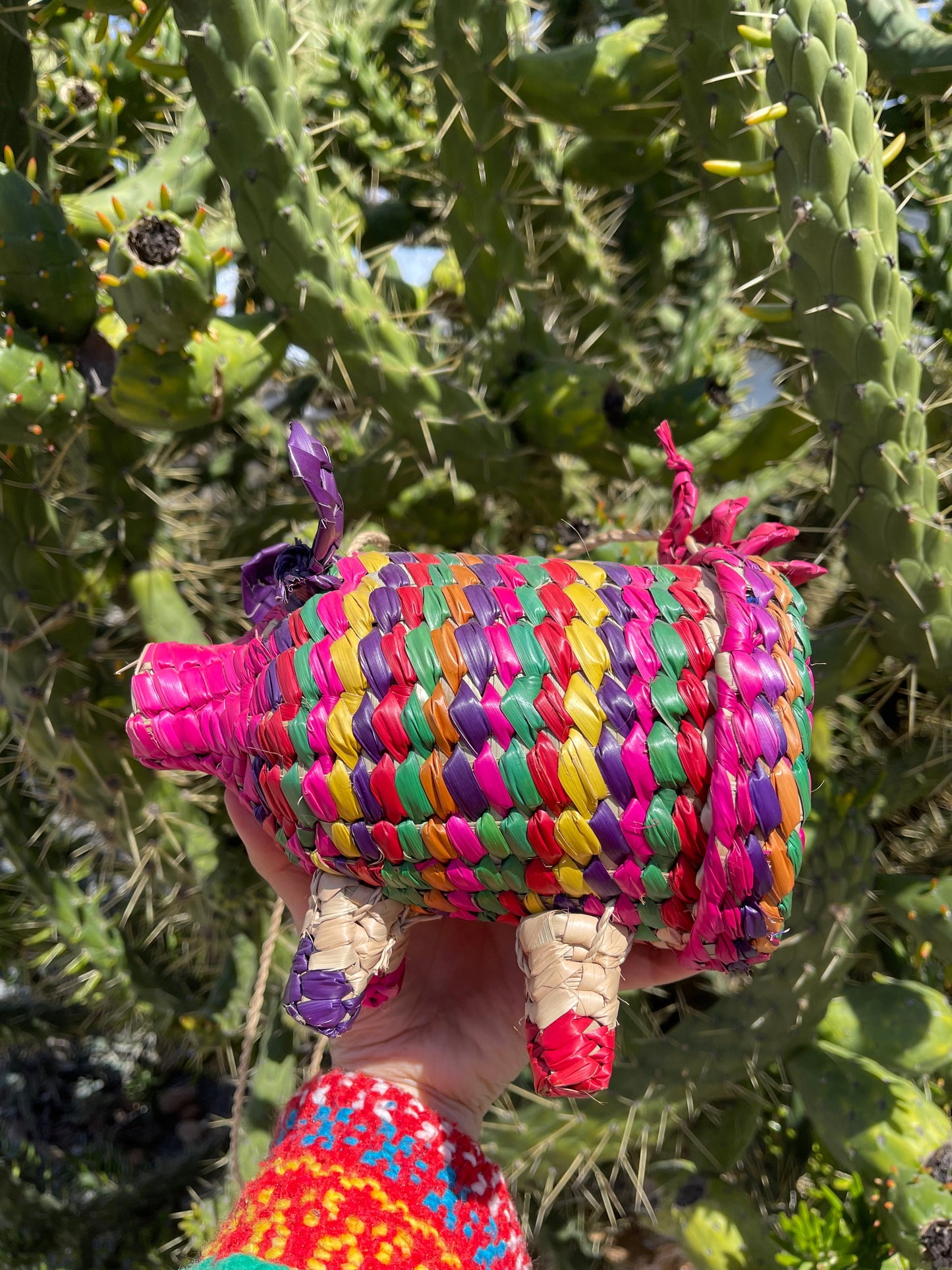 Made In Mexico Straw Pig Bag