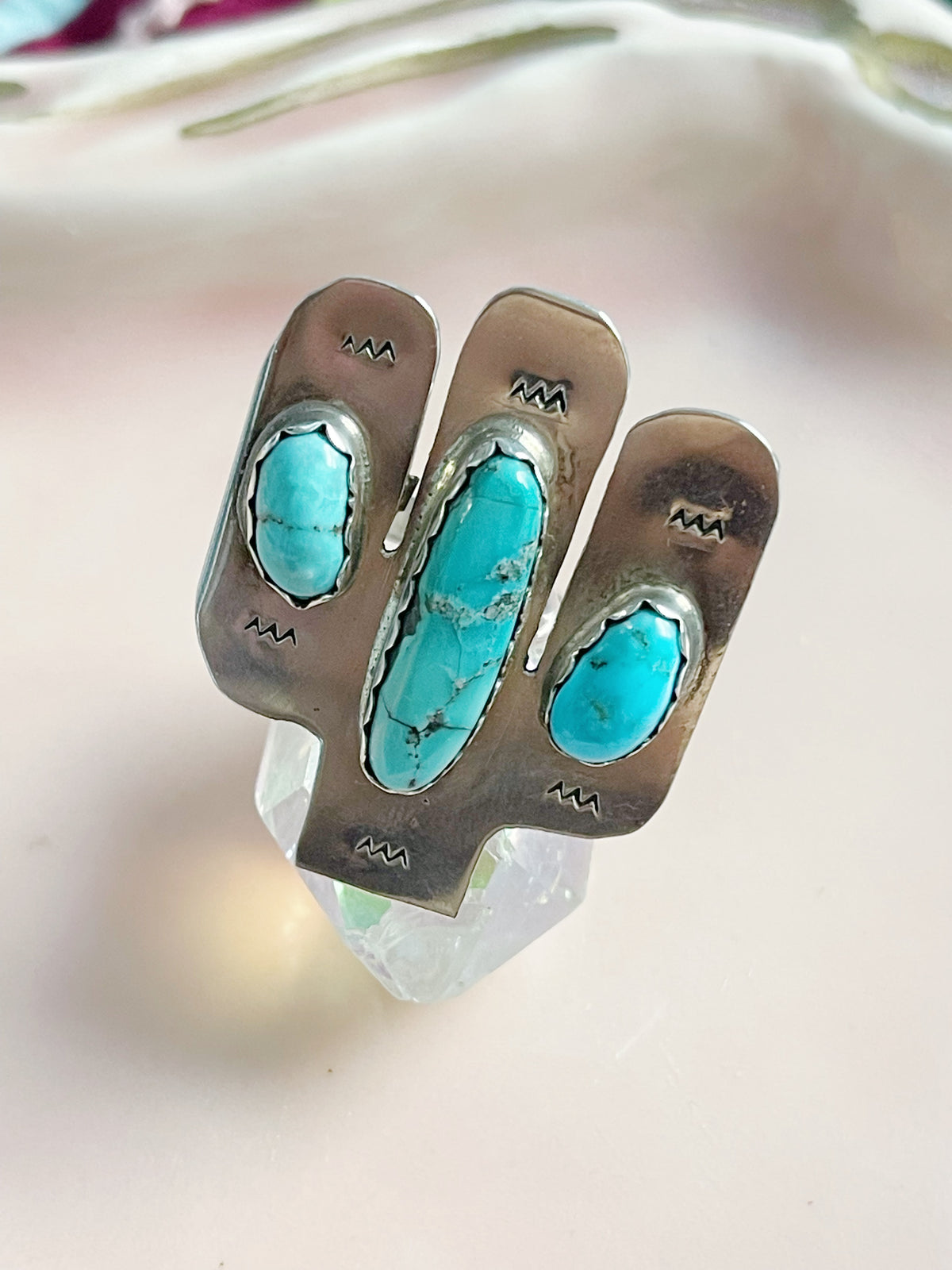 Fred Peters Cactus With Turquoise Ring