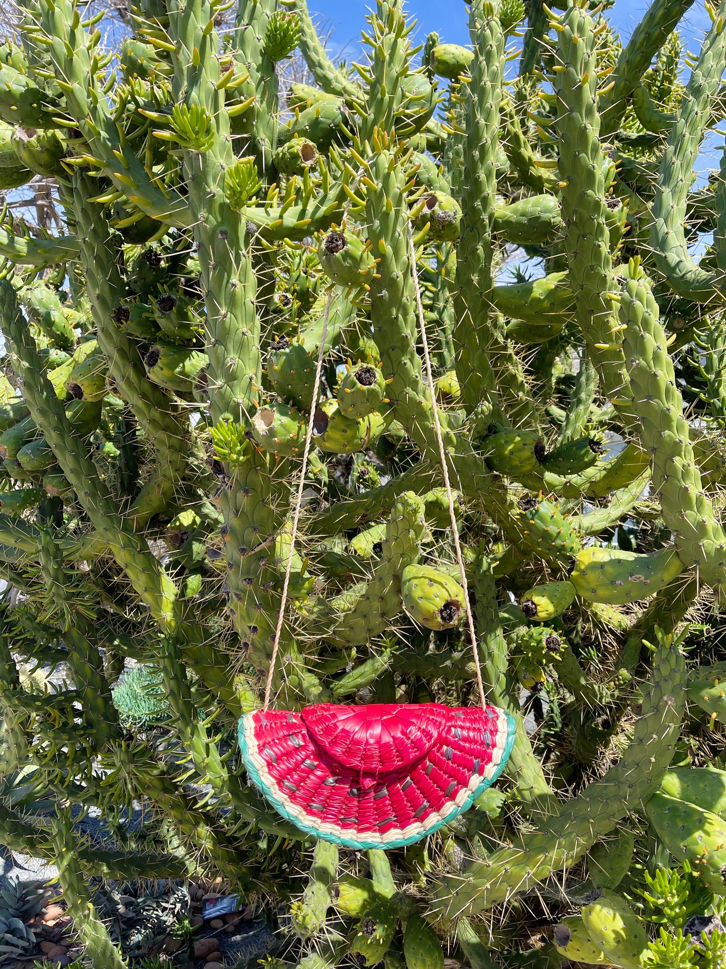 Watermelon Straw Shoulders Bag.