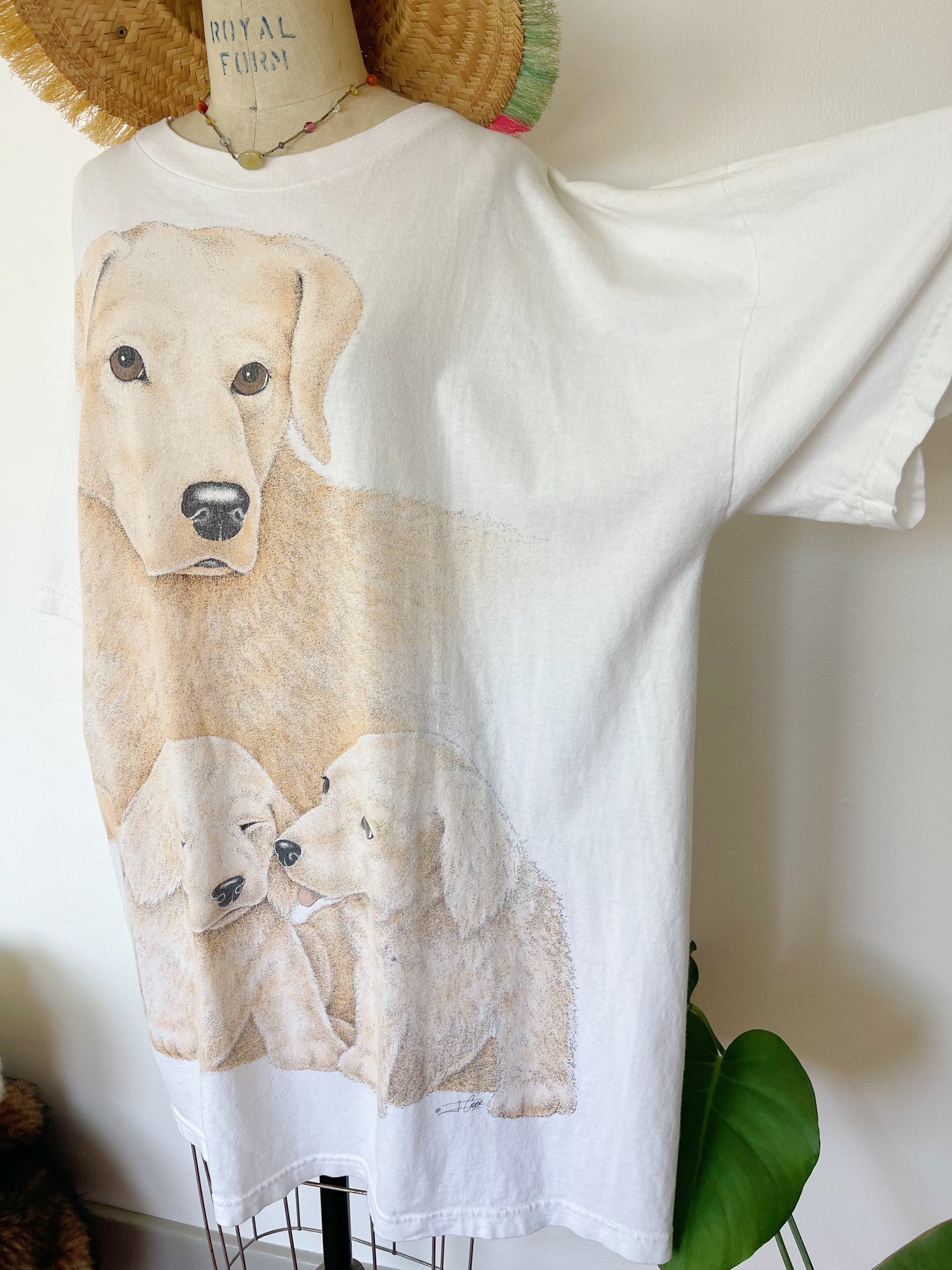Labradorretriever Big Tee !