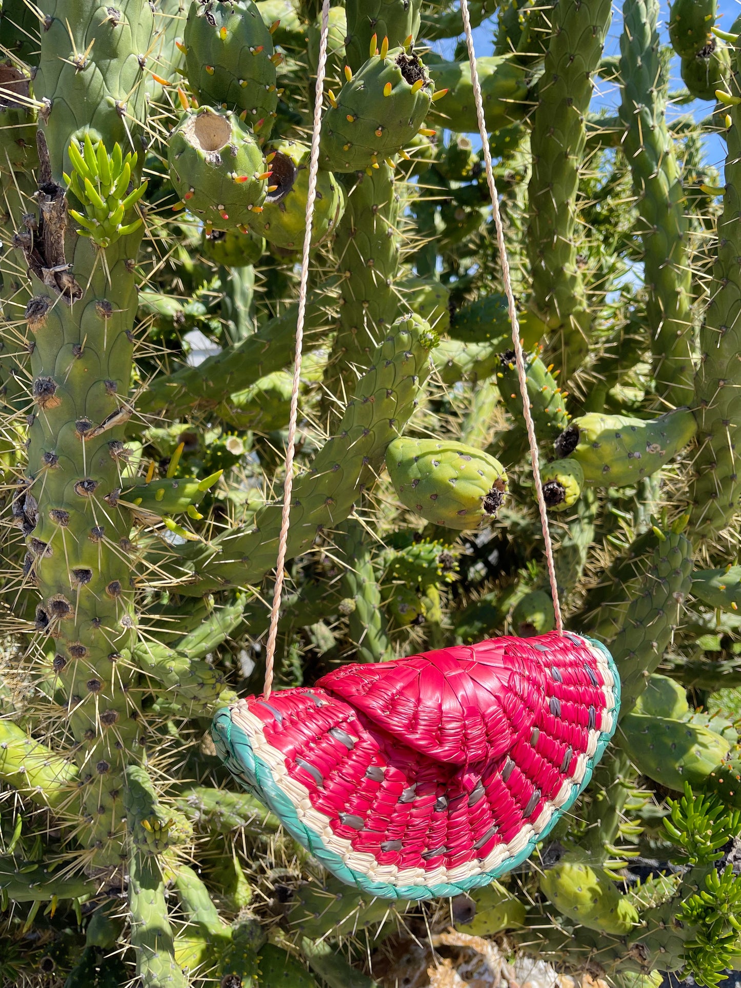 Watermelon Straw Shoulders Bag.