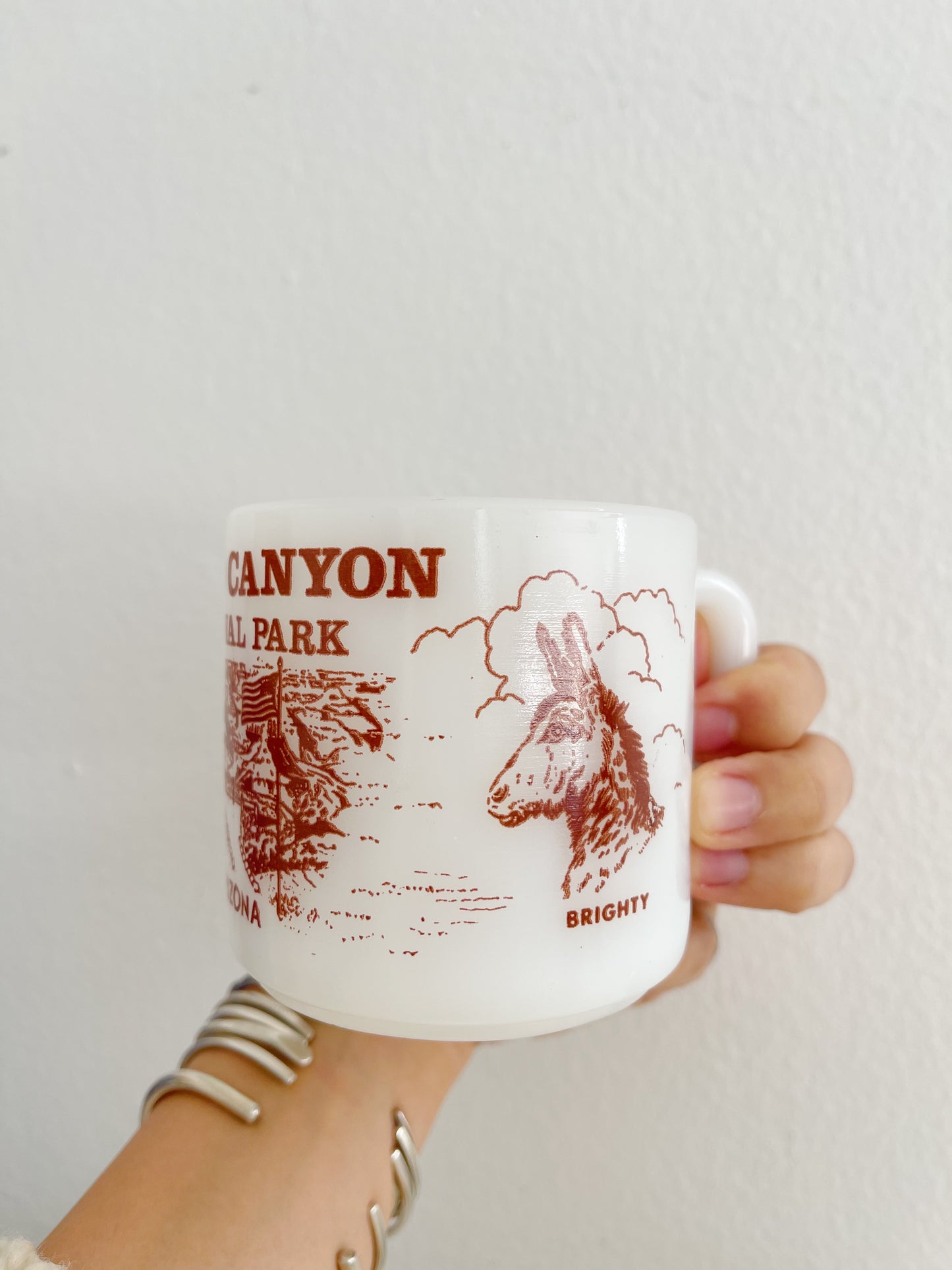 Vintage GRAND CANYON NATIONAL PARK Milk Glass Mug.