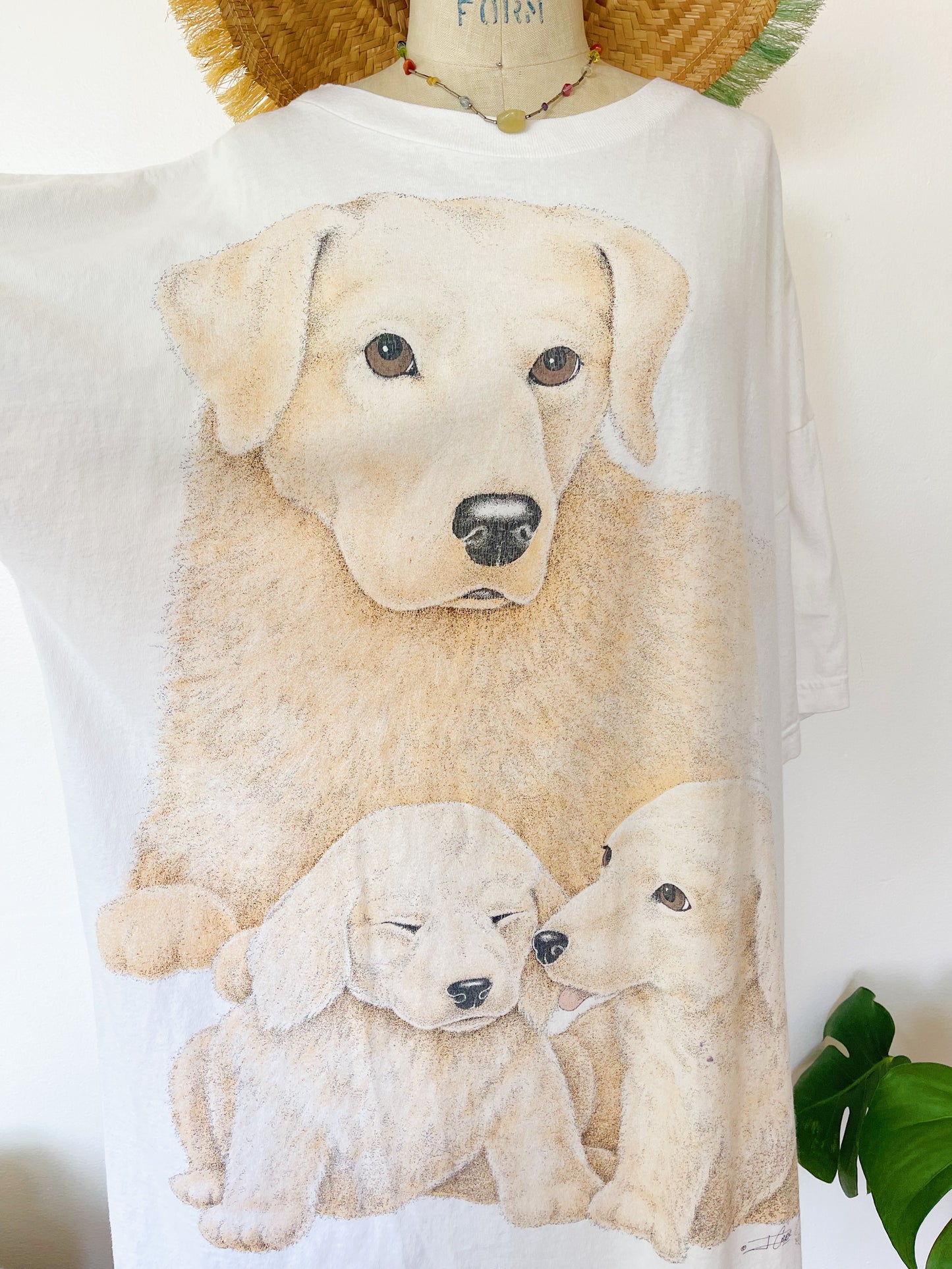 Labradorretriever Big Tee !