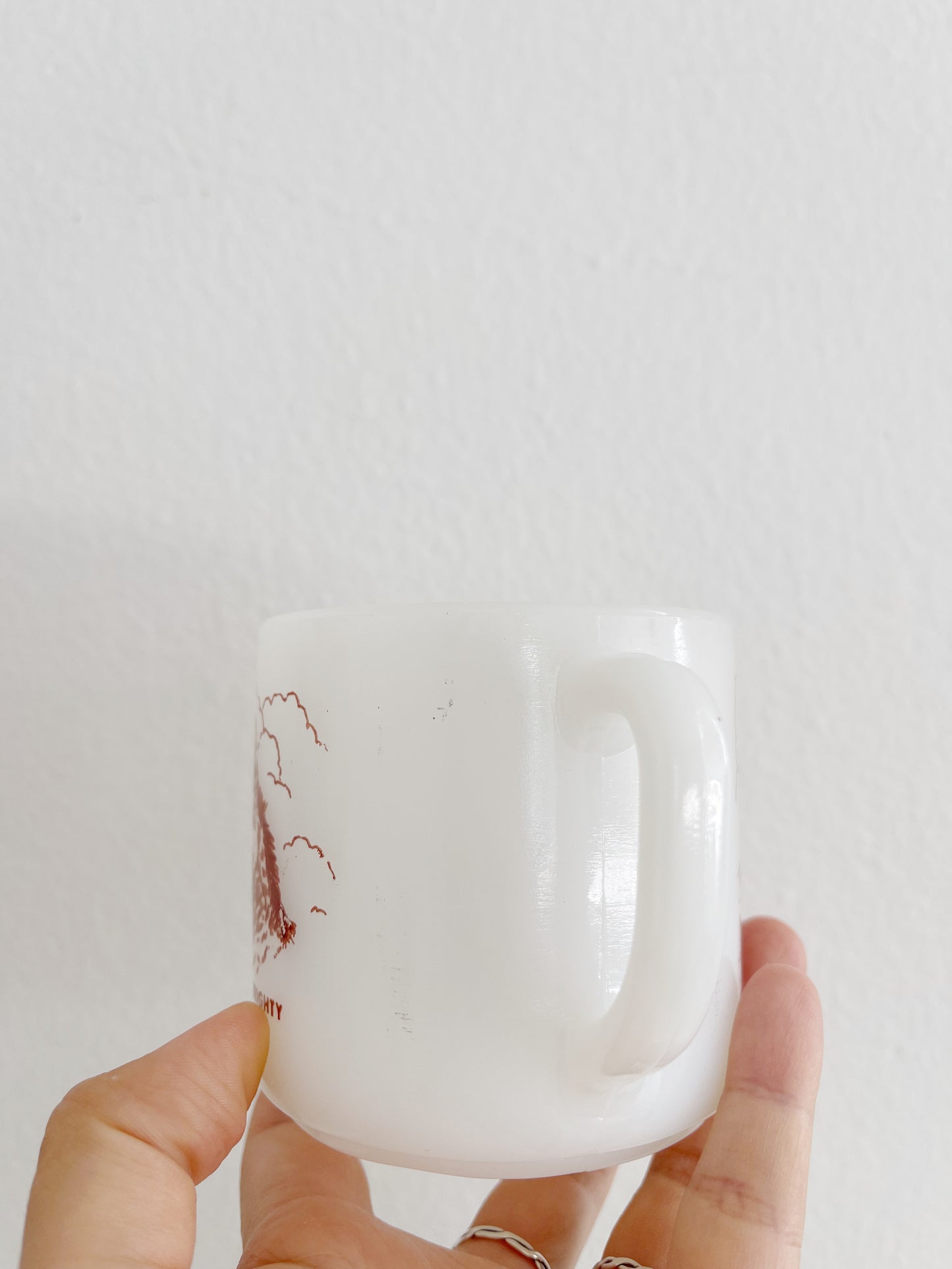 Vintage GRAND CANYON NATIONAL PARK Milk Glass Mug.